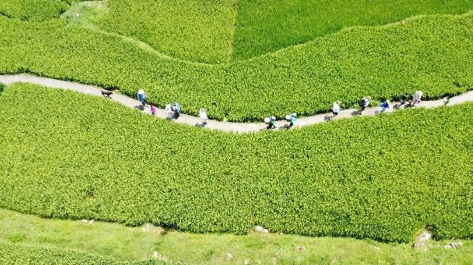 Lào Cai: Nâng cao trách nhiệm cộng đồng xây dựng Tả Van sạch - hạnh phúc