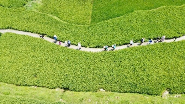 Lào Cai: Nâng cao trách nhiệm cộng đồng xây dựng Tả Van sạch - hạnh phúc