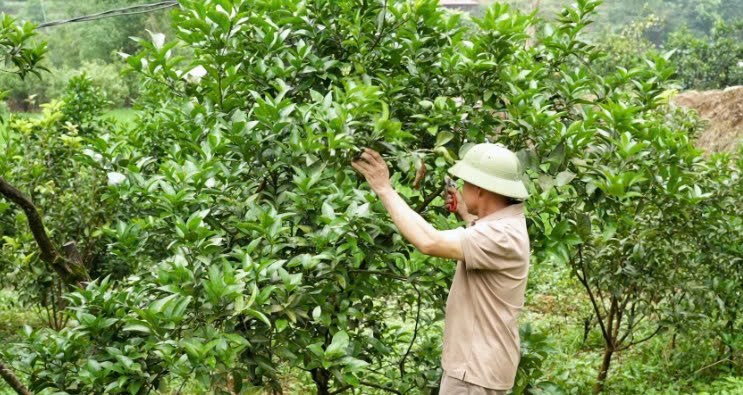 Lào Cai: Nghĩa Tâm triển khai Nghị quyết 21 bảo đảm đúng đối tượng, phù hợp thực tiễn