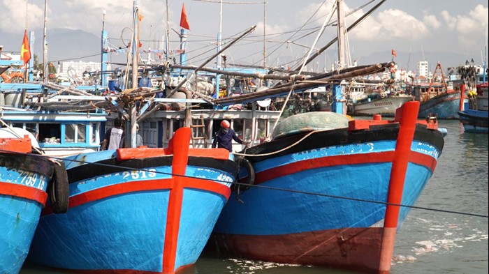 Rà soát toàn bộ hệ thống pháp luật quản lý ngành thủy sản