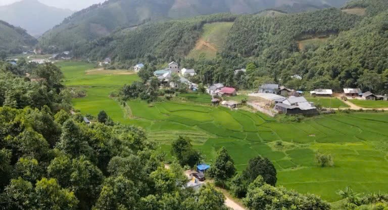 Lào Cai: Lương Thịnh đẩy mạnh chuyển đổi cây trồng gắn với sản xuất hàng hóa
