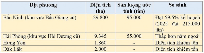 Vải thiều mất mùa, giá tăng lên 210.000 đồng/kg
