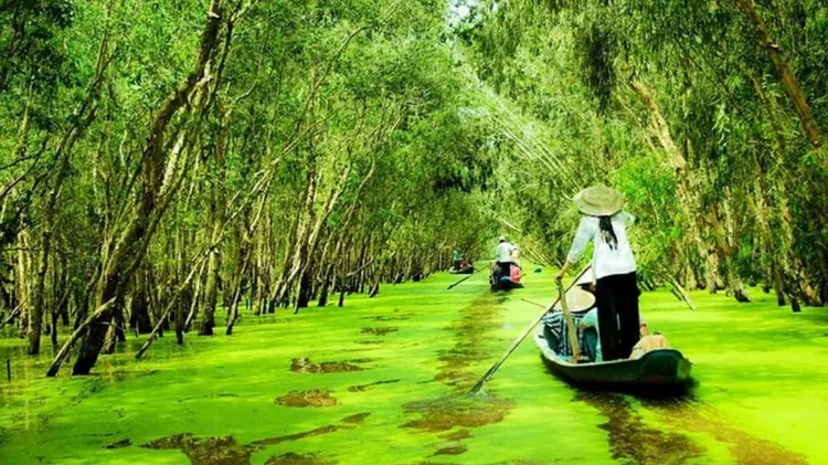 Cà Mau phê duyệt quy hoạch Khu du lịch sinh thái Vườn Quốc gia U Minh Hạ