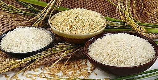 Giá nông sản hôm nay 6/5: Cà phê bật tăng, hồ tiêu giảm nhẹ, lúa gạo giao dịch trầm lắng