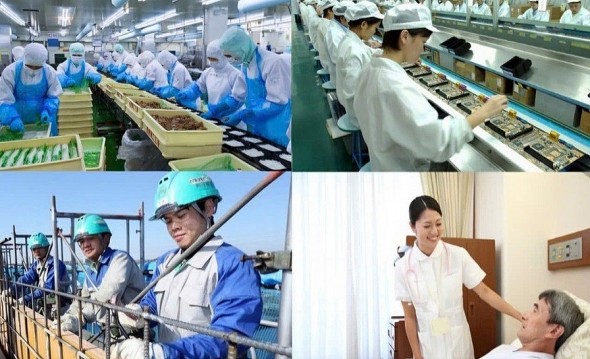 Chính sách thu hút nguồn nhân lực khu vực công ở Việt Nam – Thực trạng và giải pháp nâng cao hiệu quả tuyển dụng nhân lực tại Việt Nam