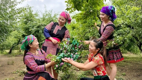 Phát triển nông nghiệp xanh gắn với du lịch sinh thái