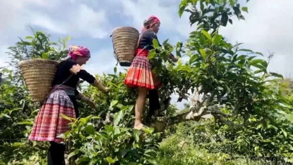Lào Cai: Kể chuyện quê hương trên không gian số