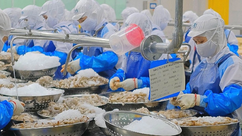 Thủy sản Việt Nam kỳ vọng vượt mốc 12 tỷ USD