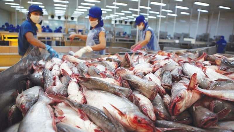 Thủy sản Việt Nam kỳ vọng vượt mốc 12 tỷ USD
