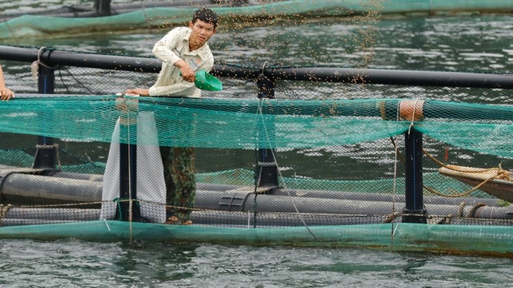 Phú Thọ ‘tạo đà’ tăng trưởng mới cho ngành thủy sản