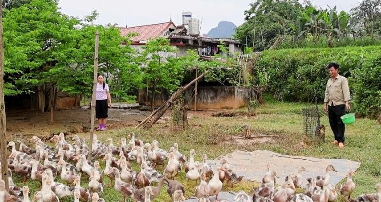 Lào Cai: Xã Lục Yên nhân rộng các mô hình “Dân vận khéo” với cách làm sáng tạo ở cơ sở
