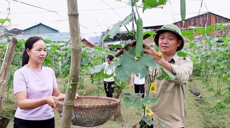Lào Cai: Xã Lục Yên nhân rộng các mô hình “Dân vận khéo” với cách làm sáng tạo ở cơ sở