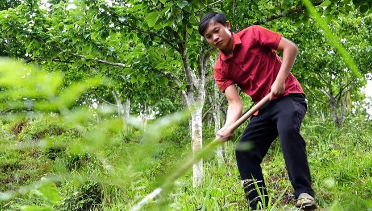 Lào Cai: Kiên trì tạo thành công Lào Cai: Kiên trì tạo thành công