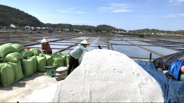 Đảm bảo công tác vệ sinh môi trường trong sản xuất muối