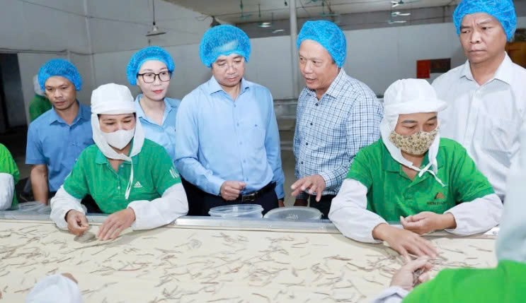 Lào Cai: Khai thác dư địa phát triển lâm sản ngoài gỗ Lào Cai: Khai thác dư địa phát triển lâm sản ngoài gỗ