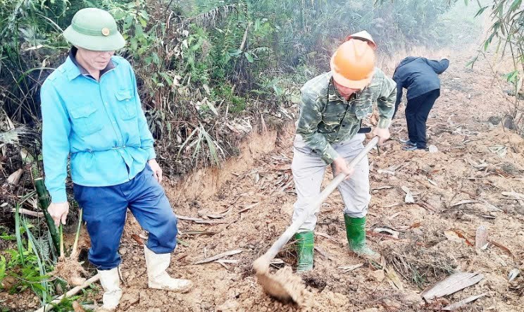 Lào Cai: Khai thác dư địa phát triển lâm sản ngoài gỗ Lào Cai: Khai thác dư địa phát triển lâm sản ngoài gỗ