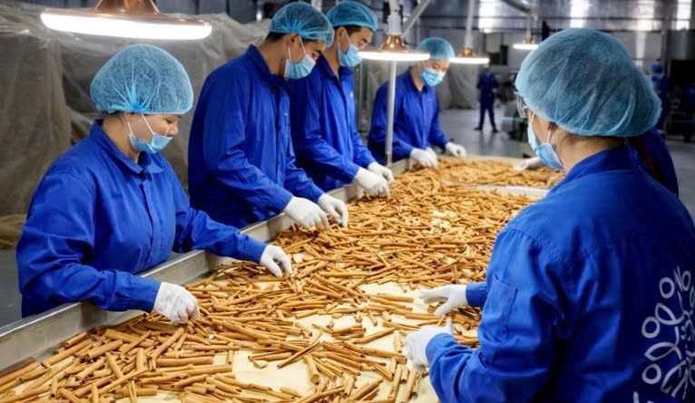 Lào Cai: Khai thác dư địa phát triển lâm sản ngoài gỗ Lào Cai: Khai thác dư địa phát triển lâm sản ngoài gỗ
