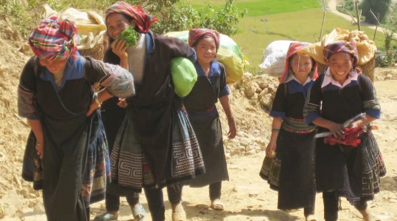 Lào Cai: Khai thác dư địa phát triển lâm sản ngoài gỗ Lào Cai: Khai thác dư địa phát triển lâm sản ngoài gỗ