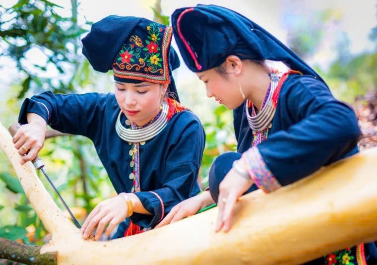 Lào Cai: Khai thác dư địa phát triển lâm sản ngoài gỗ Lào Cai: Khai thác dư địa phát triển lâm sản ngoài gỗ