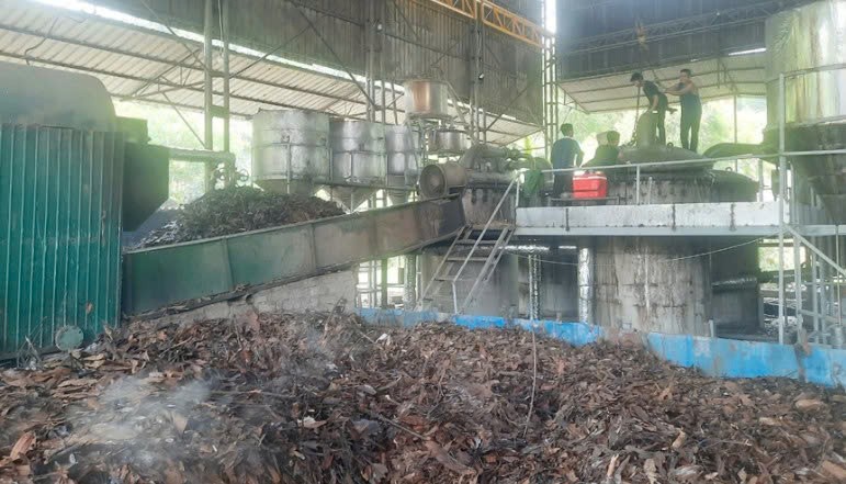 Lào Cai: Khai thác dư địa phát triển lâm sản ngoài gỗ Lào Cai: Khai thác dư địa phát triển lâm sản ngoài gỗ