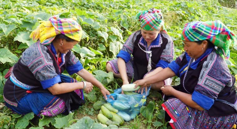 Lào Cai: Khang Thị Bla và hành trình lan tỏa bình đẳng giới ở Mù Cang Chải