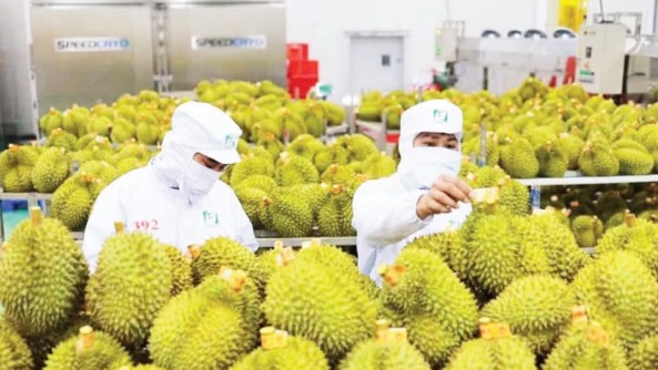 Gia tăng kiểm soát chuỗi cung ứng nông sản