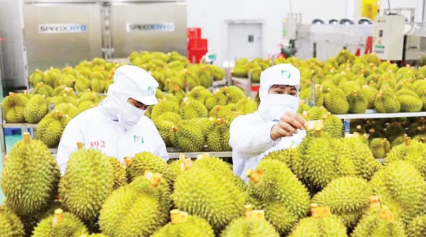 Gia tăng kiểm soát chuỗi cung ứng nông sản