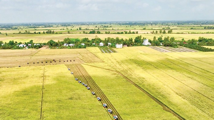Chuyển đổi phát thải thấp chỉ bền vững khi nông dân thấy lợi ích kinh tế rõ ràng