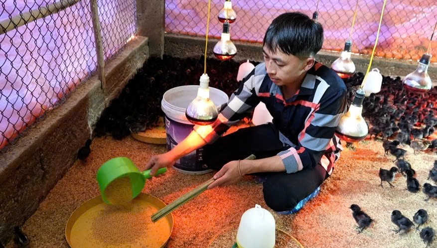 Lào Cai: “Đảng viên đi trước” ở Púng Luông Lào Cai: “Đảng viên đi trước” ở Púng Luông