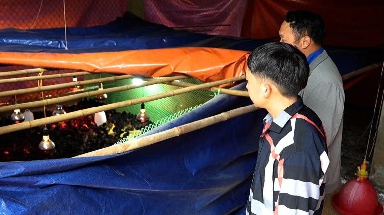 Lào Cai: “Đảng viên đi trước” ở Púng Luông