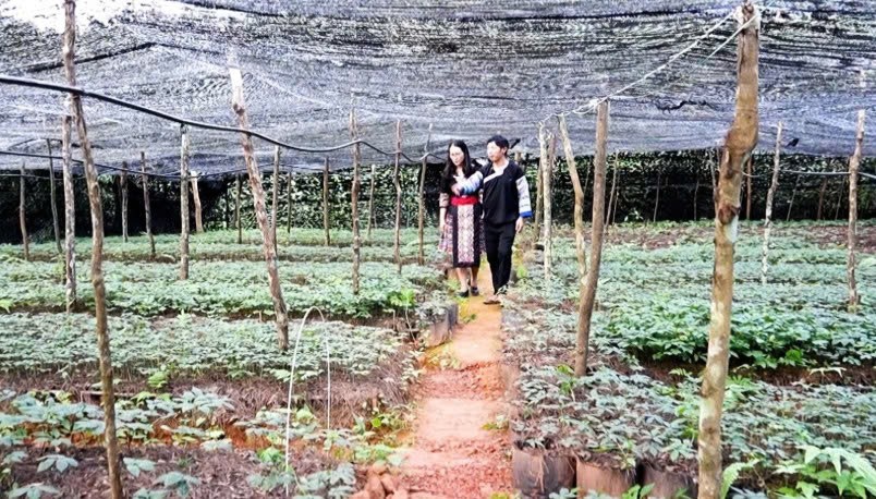 Lào Cai: “Đảng viên đi trước” ở Púng Luông Lào Cai: “Đảng viên đi trước” ở Púng Luông