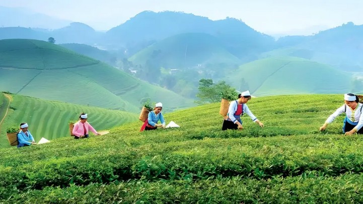 Công nghệ số thúc đẩy du lịch Thái Nguyên đột phá