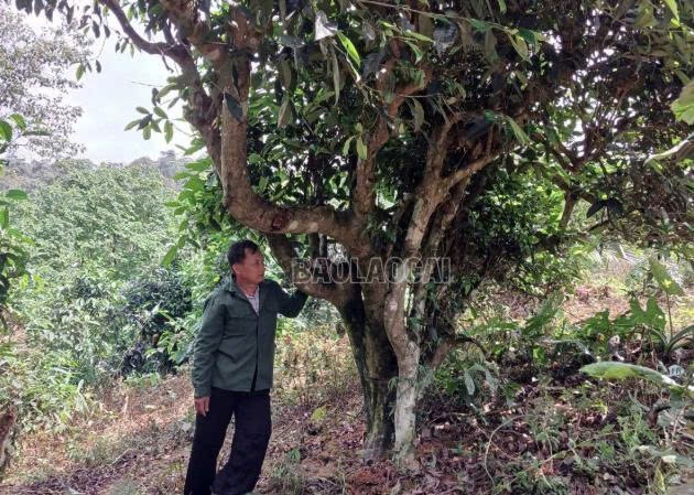 Lào Cai: Đánh thức tiềm năng du lịch sinh thái ở Quy Mông Lào Cai: Đánh thức tiềm năng du lịch sinh thái ở Quy Mông