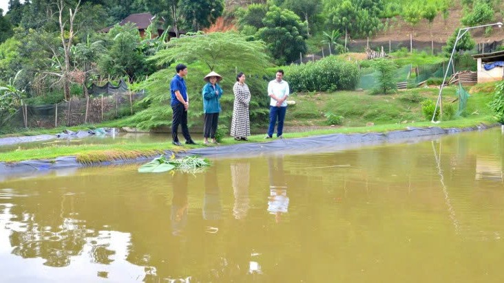 Lào Cai: Những mô hình kinh tế tiêu biểu ở Phong Dụ Hạ