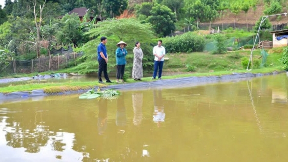 Lào Cai: Những mô hình kinh tế tiêu biểu ở Phong Dụ Hạ