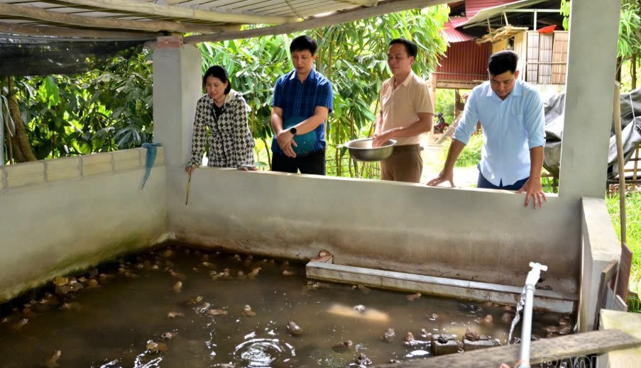 Lào Cai: Những mô hình kinh tế tiêu biểu ở Phong Dụ Hạ Lào Cai: Những mô hình kinh tế tiêu biểu ở Phong Dụ Hạ