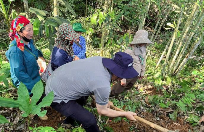 Lào Cai: Tập huấn kỹ thuật phát triển cây nông dược bản địa dưới tán rừng tại xã Bát Xát