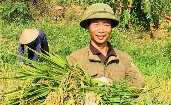 Lào Cai: Niềm vui mùa gặt Lào Cai: Niềm vui mùa gặt