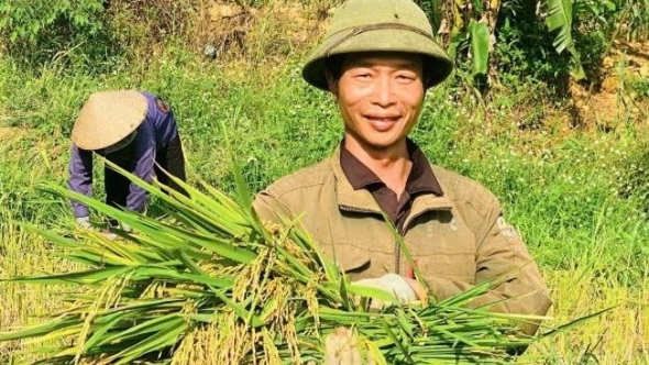 Lào Cai: Niềm vui mùa gặt