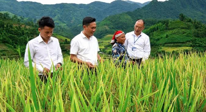 Lào Cai: Mường Bo: "Thay áo mới" sau một năm tinh gọn bộ máy