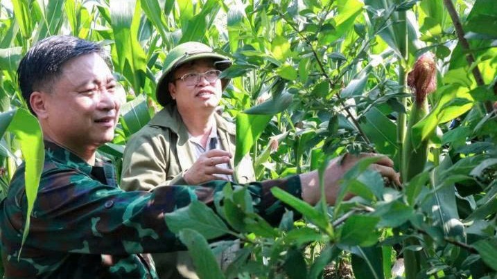 Lào Cai: Bát Xát khảo sát tiềm năng phát triển khu vực Phìn Ngan cũ