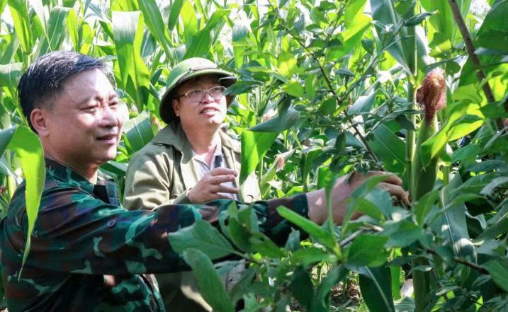 Lào Cai: Bát Xát khảo sát tiềm năng phát triển khu vực Phìn Ngan cũ