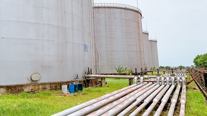 Xăng sinh học: Hình thành ngành kinh tế mới với chuỗi giá trị hoàn chỉnh