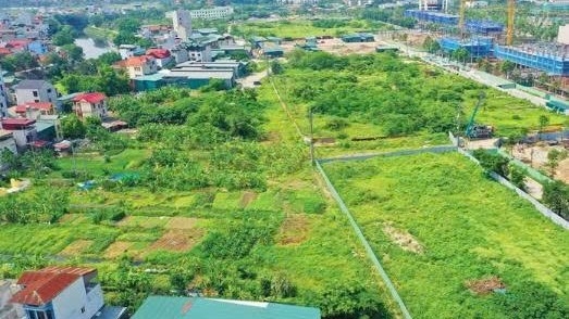 Đấu giá quyền sử dụng đất thực hiện dự án: Gỡ khó khăn pháp lý, tạo thuận lợi thực thi