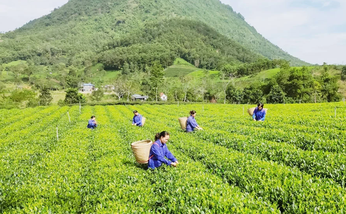 Kế hoạch phát triển kinh tế-xã hội năm 2027 phải được xây dựng trên cơ sở kết quả năm 2026