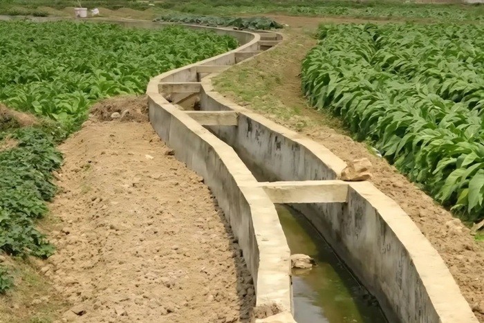 Phát triển hạ tầng thủy lợi đáp ứng yêu cầu sản xuất, phòng, chống thiên tai Phát triển hạ tầng thủy lợi đáp ứng yêu cầu sản xuất, phòng, chống thiên tai