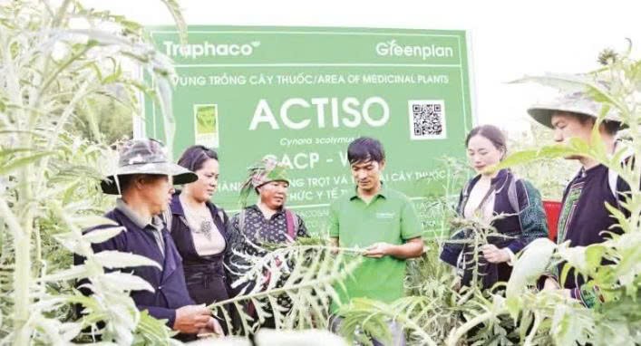 Lào Cai: Tạo sinh kế bền vững, lan tỏa tinh hoa dược Việt Nam