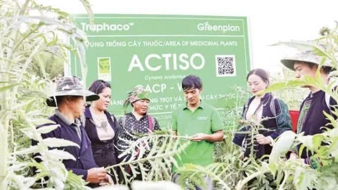 Lào Cai: Tạo sinh kế bền vững, lan tỏa tinh hoa dược Việt Nam
