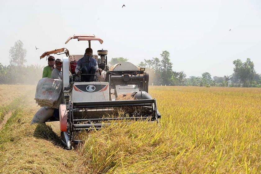 Giá nông sản hôm nay 24/6: Cà phê giảm sâu, hồ tiêu tiếp đà tăng, thị trường lúa gạo giao dịch chậm Giá nông sản hôm nay 24/6: Cà phê giảm sâu, hồ tiêu tiếp đà tăng, thị trường lúa gạo giao dịch chậm