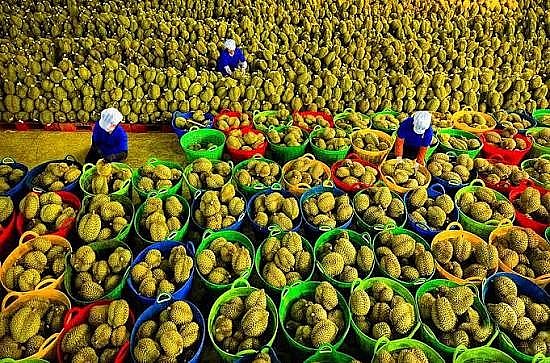 Xuất khẩu không còn là cuộc đua "mang hàng đi bán" Xuất khẩu không còn là cuộc đua "mang hàng đi bán"